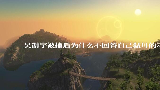 吴谢宇被捕后为什么不回答自己弑母的动机？