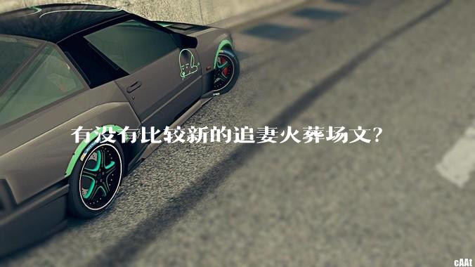 有没有比较新的追妻火葬场文？