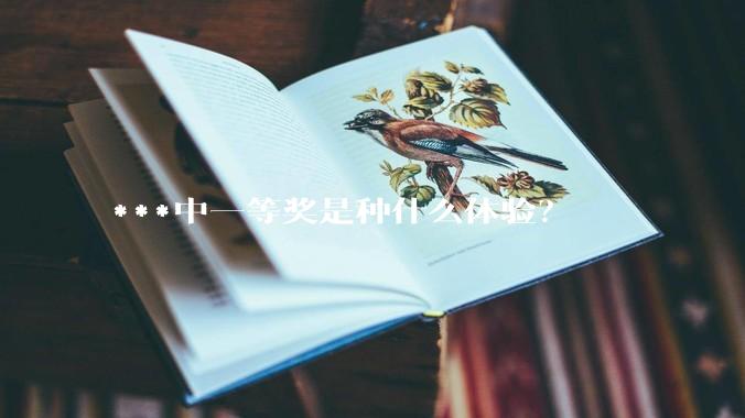 ***中一等奖是种什么体验？