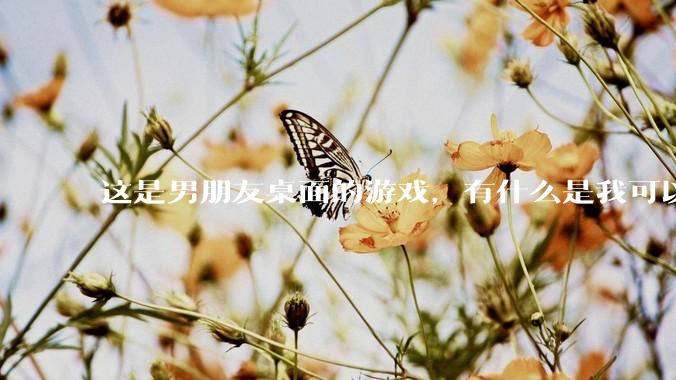 这是男朋友桌面的游戏，有什么是我可以陪他玩的吗？