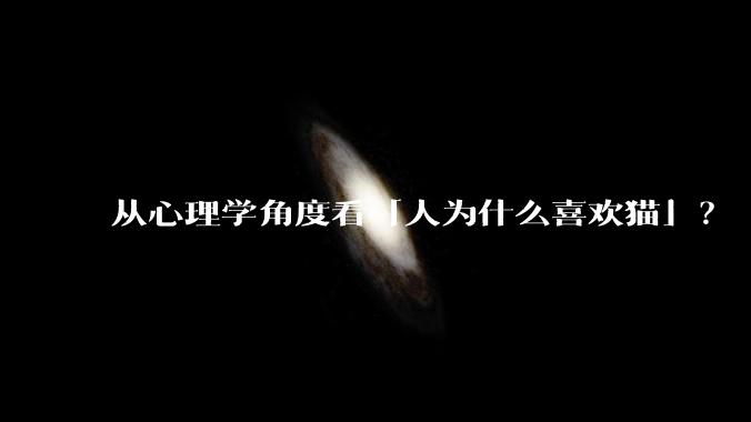 从心理学角度看「人为什么喜欢猫」？