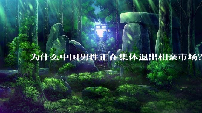 为什么中国男性正在集体退出相亲市场？