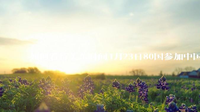 如何看待美东时间4月23日80国参加中国邀请的反关税霸权非正式会议?